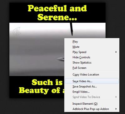 can you download a video from facebook