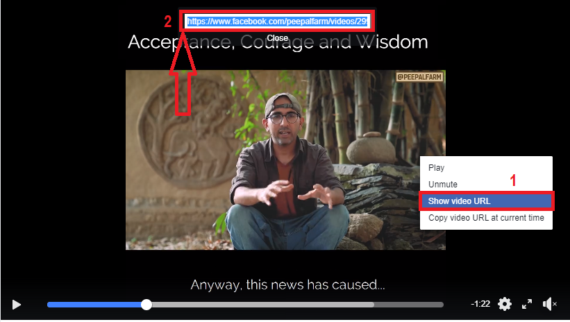 save facebook videos