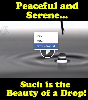 fb download pc video facebook