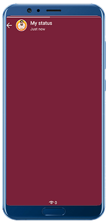 blank WhatsApp stories