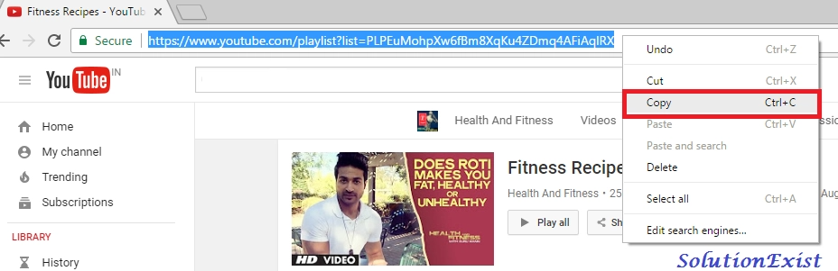 youtube multi downloader alternative