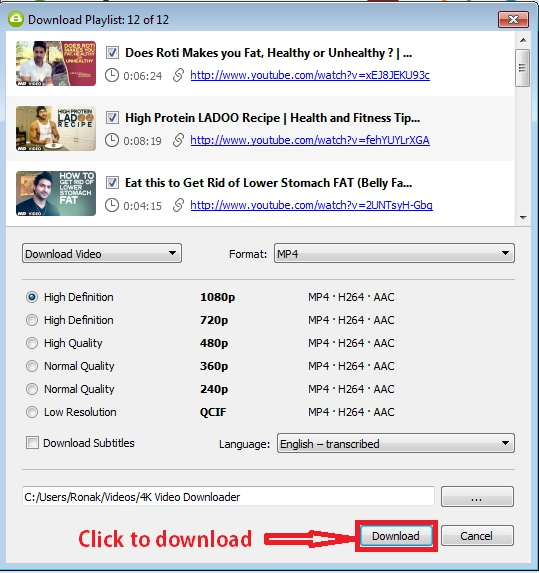 youtube playlist downloader free online