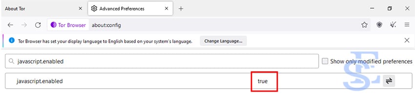 Is enabling JavaScript safe